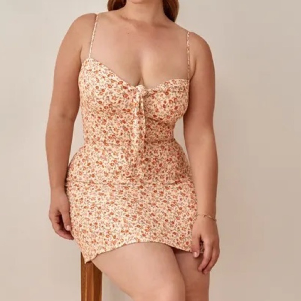 Reformation Helm Dress in Fairy